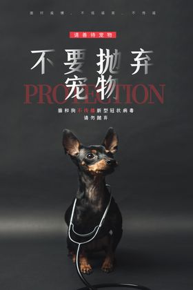 宠物海报
