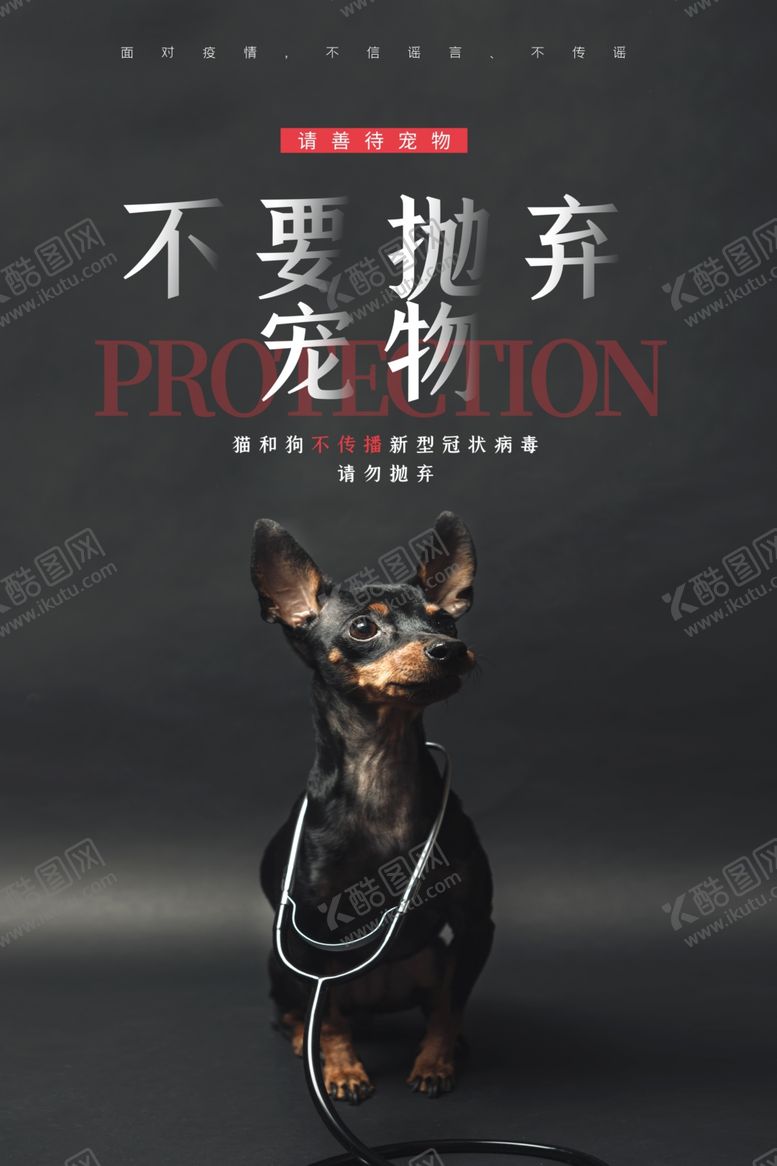 编号：67633607030738501055【酷图网】源文件下载-宠物海报