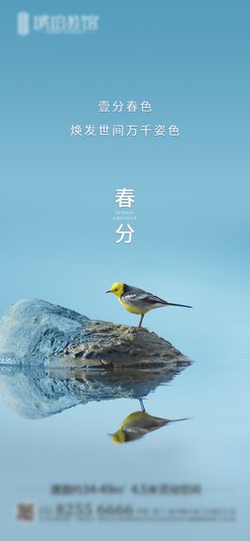 春分手机海报