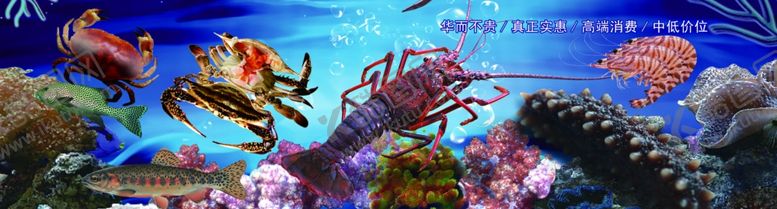 编号：63223406190952445581【酷图网】源文件下载-海鲜海鲜展板海鲜广告