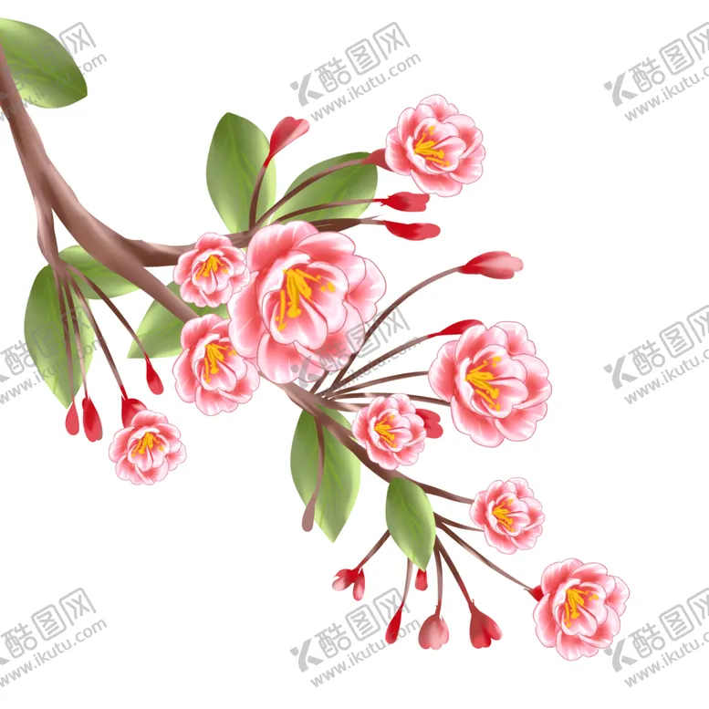 编号：29468102030416446137【酷图网】源文件下载-海棠花花枝