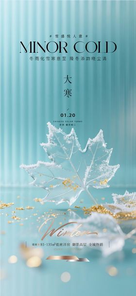 地产大寒质感节气海报