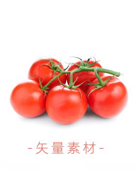 番茄西红柿