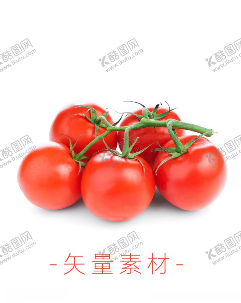 编号：34296309220737271223【酷图网】源文件下载-番茄西红柿