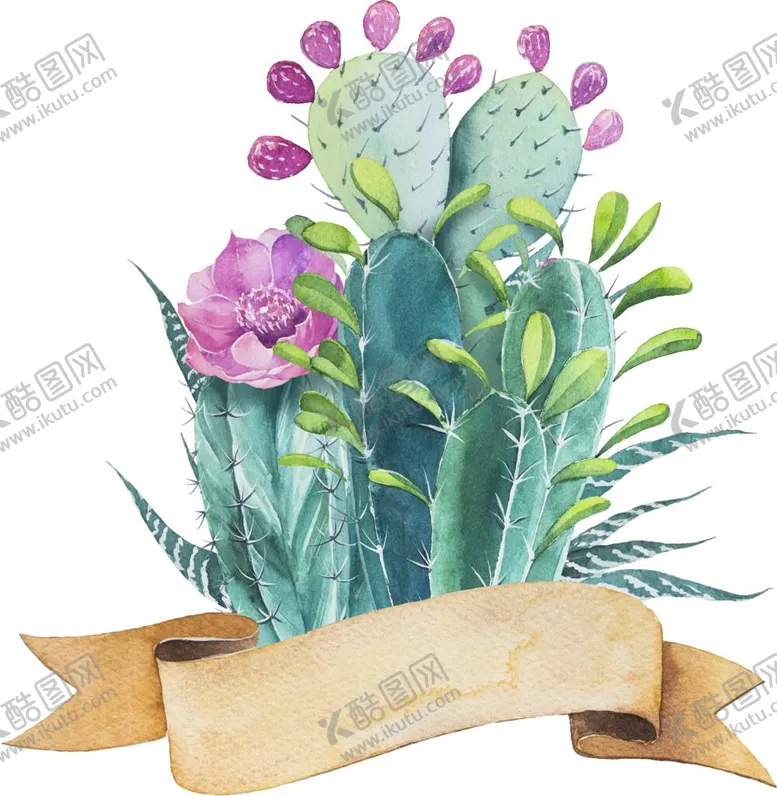编号：32416012050026444568【酷图网】源文件下载-手绘仙人掌