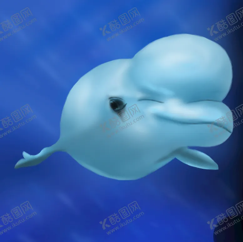 编号：55136910142127481663【酷图网】源文件下载-手绘海豚分层图案手机壳素材