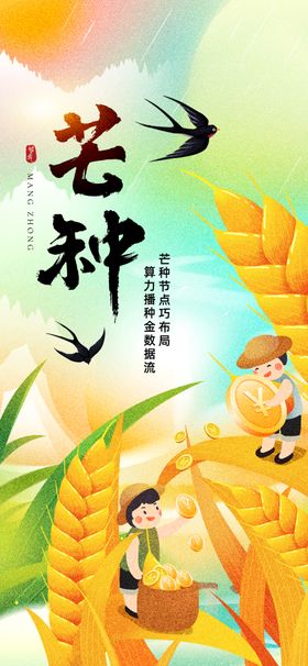 芒种