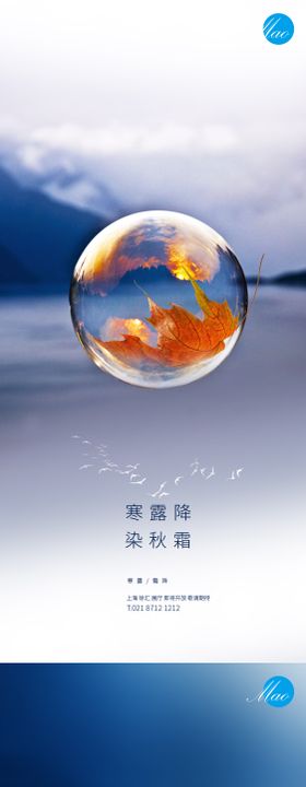 寒露节气稿