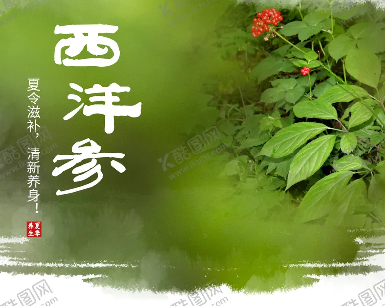 编号：82110206241202541970【酷图网】源文件下载-西洋参背景