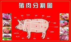 猪肉分割图