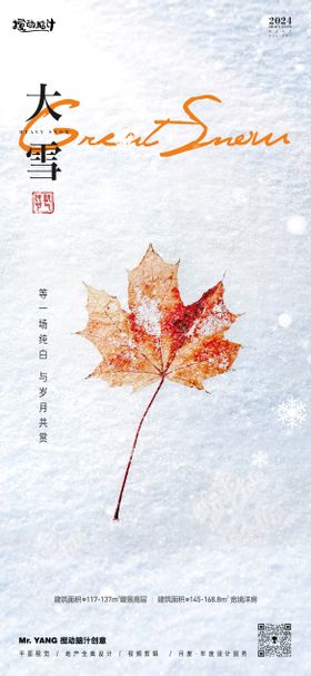 大雪节气海报二十四地产花