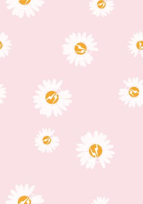 雏菊