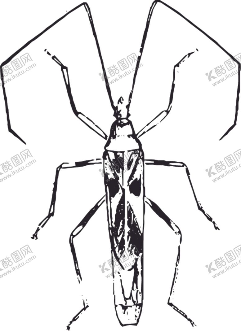 编号：80288807070841134637【酷图网】源文件下载-自然昆虫标本插画