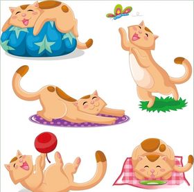 猫上叁拾玖