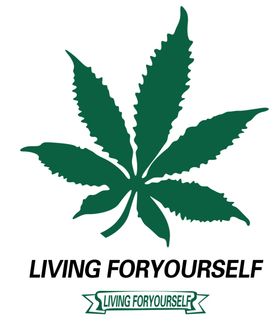 树叶卡通漫画7叶棕榈