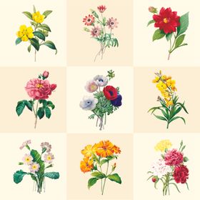 花卉插画图案设计集合