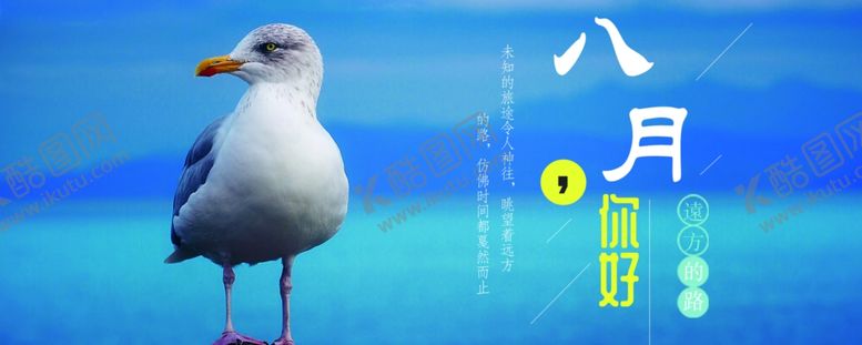 八月温馨可爱萌萌哒鸟