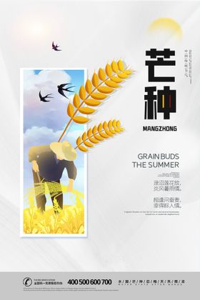 芒种画册素材宣传广告