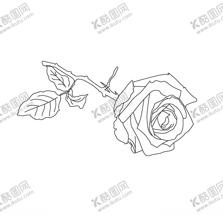 编号：32597304190352595950【酷图网】源文件下载-玫瑰
