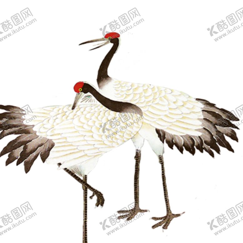 编号：55202206180320341906【酷图网】源文件下载-仙鹤