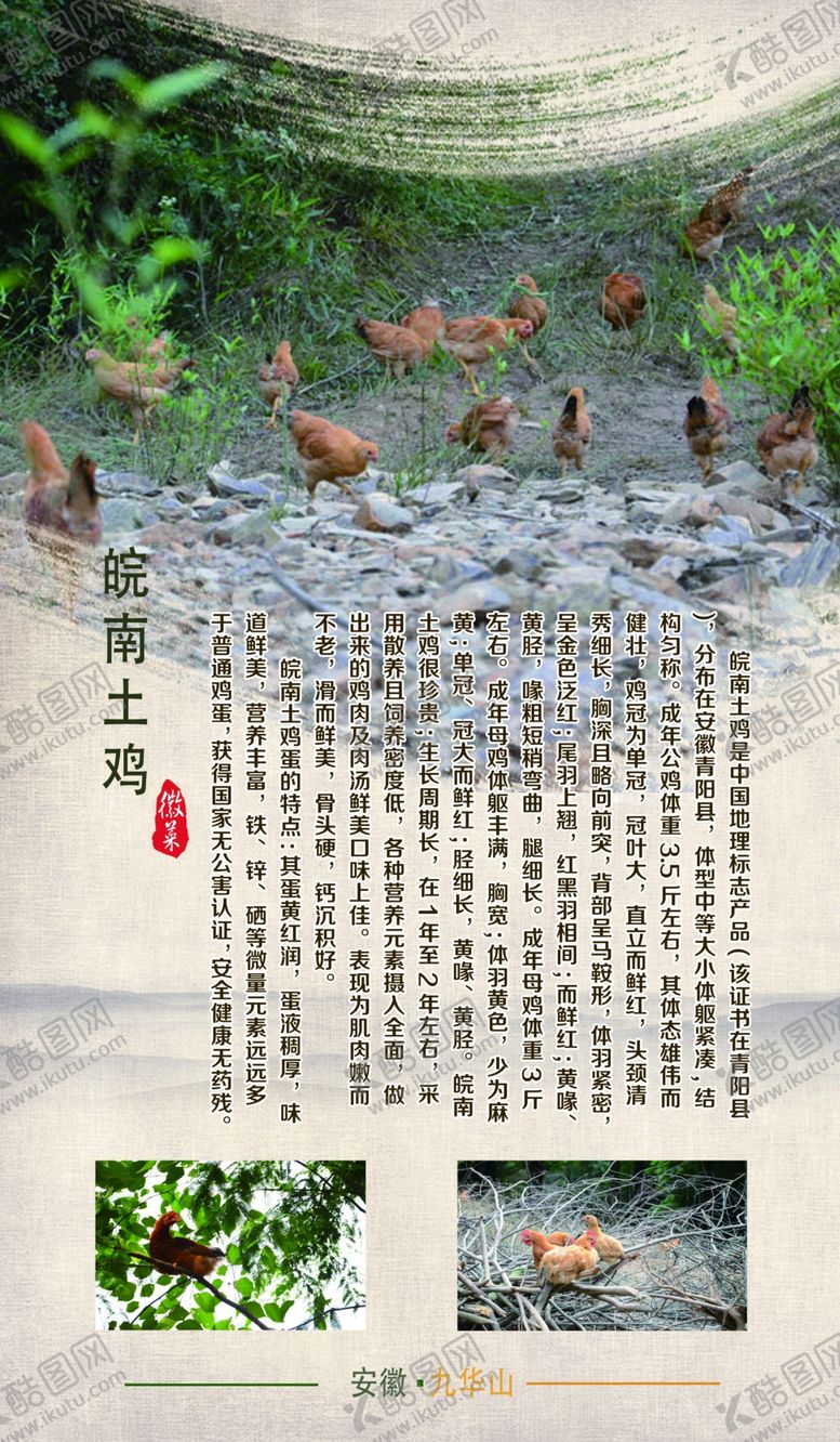 编号：56966409252144461883【酷图网】源文件下载-皖南土鸡土鸡灯箱