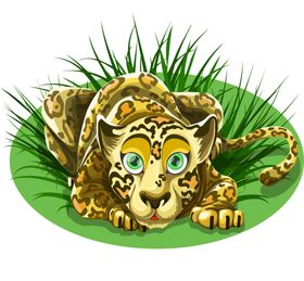 草丛豹