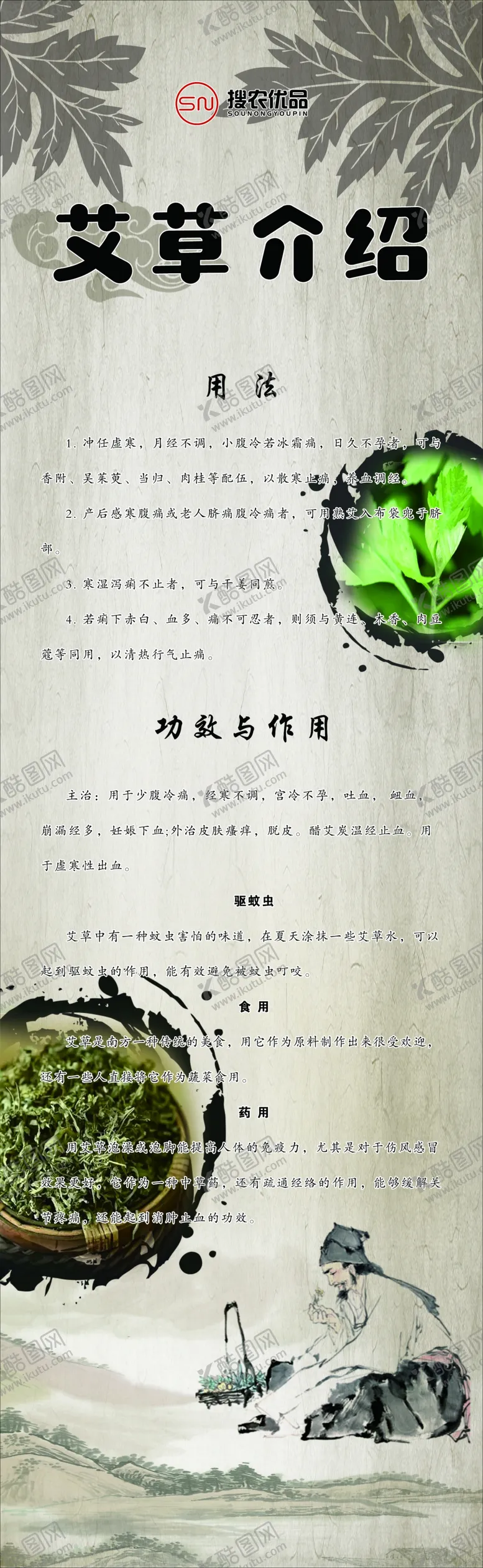 编号：46248205121726075042【酷图网】源文件下载-艾草介绍