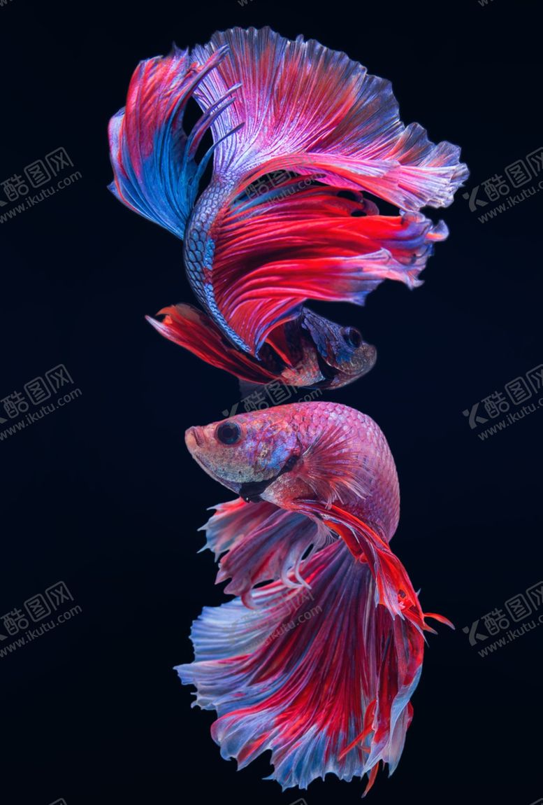 编号：78165810071351405028【酷图网】源文件下载-创意国潮装饰画图片