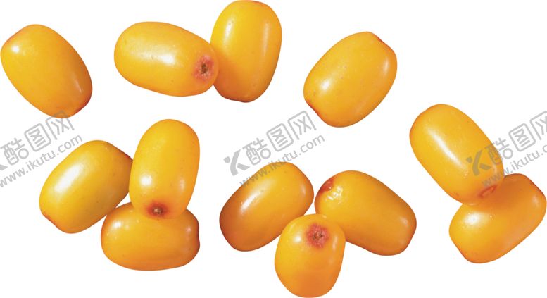 编号：14007910122321507672【酷图网】源文件下载-沙棘