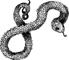 手绘蛇纹