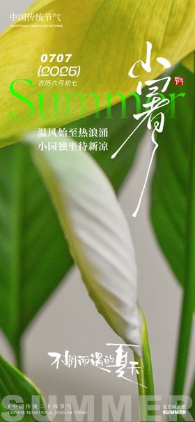 小暑芭蕉叶夏天海报