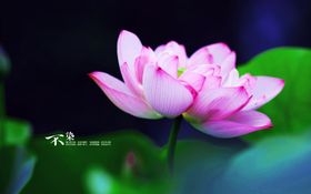 大自然风景