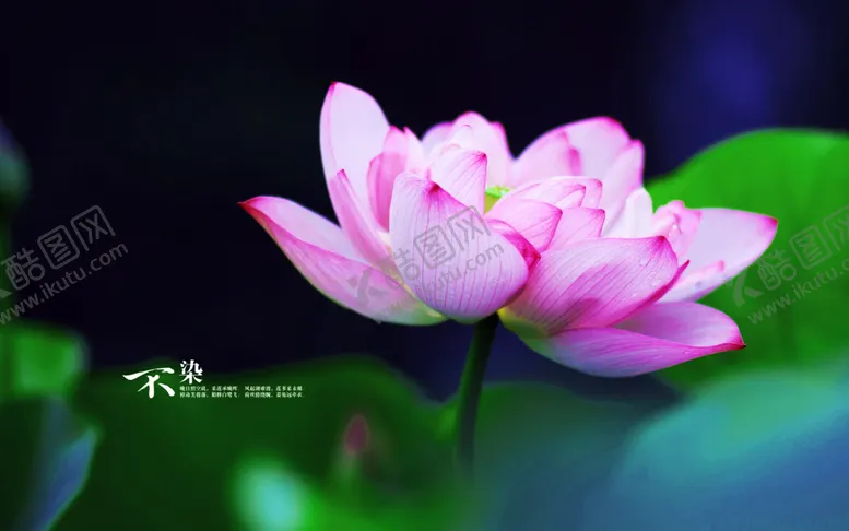 编号：33809906260715263688【酷图网】源文件下载-大自然风景