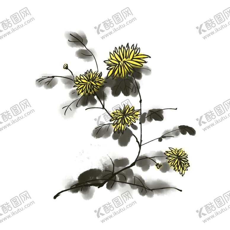 编号：40354209262031429109【酷图网】源文件下载-菊花素材