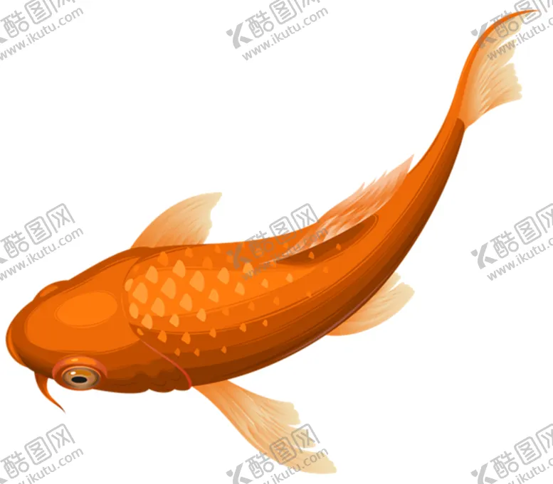 编号：84092805060917076138【酷图网】源文件下载-金鱼