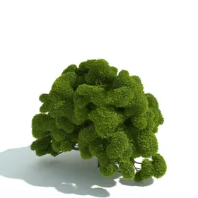 C4D模型绿色植物灌木化盆栽