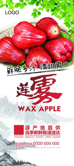 水果莲雾宣传展架