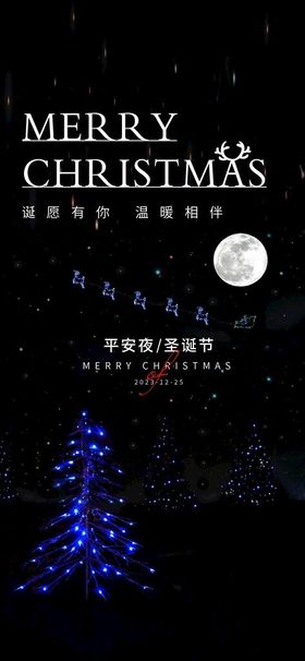 圣诞节海报广告背景活动