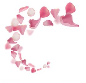 桃花花瓣
