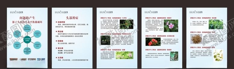 编号：75017905131546223252【酷图网】源文件下载-百莲凯广告宣传