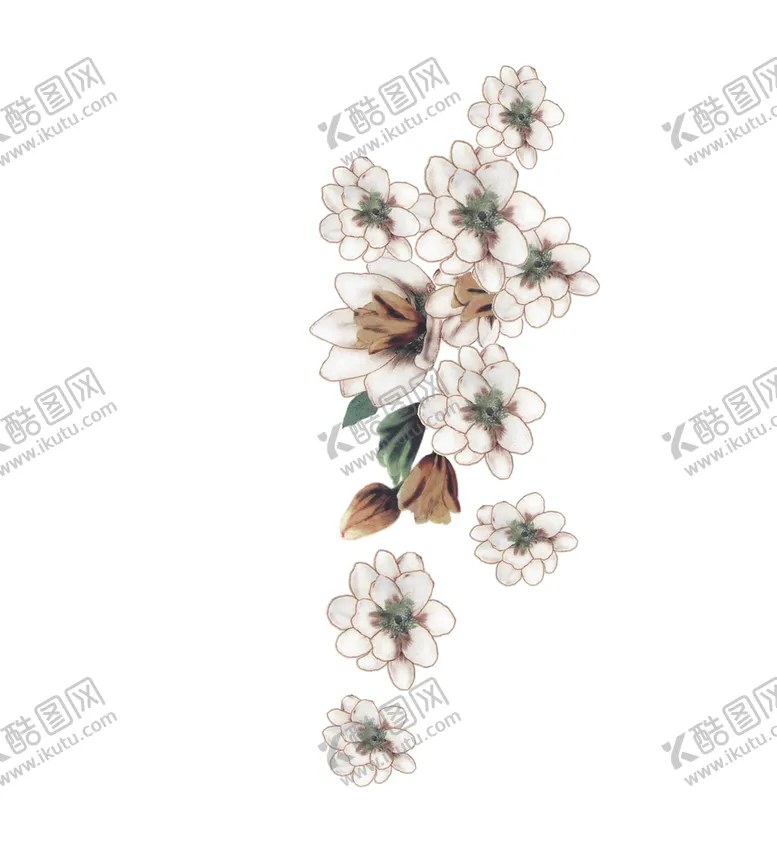 编号：26478909301631465694【酷图网】源文件下载-花