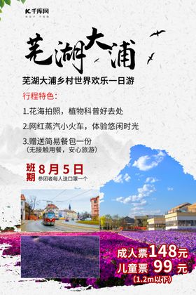 芜湖大浦门票促销乡村世界白色简