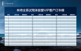 林肯全系试驾体验营订车榜