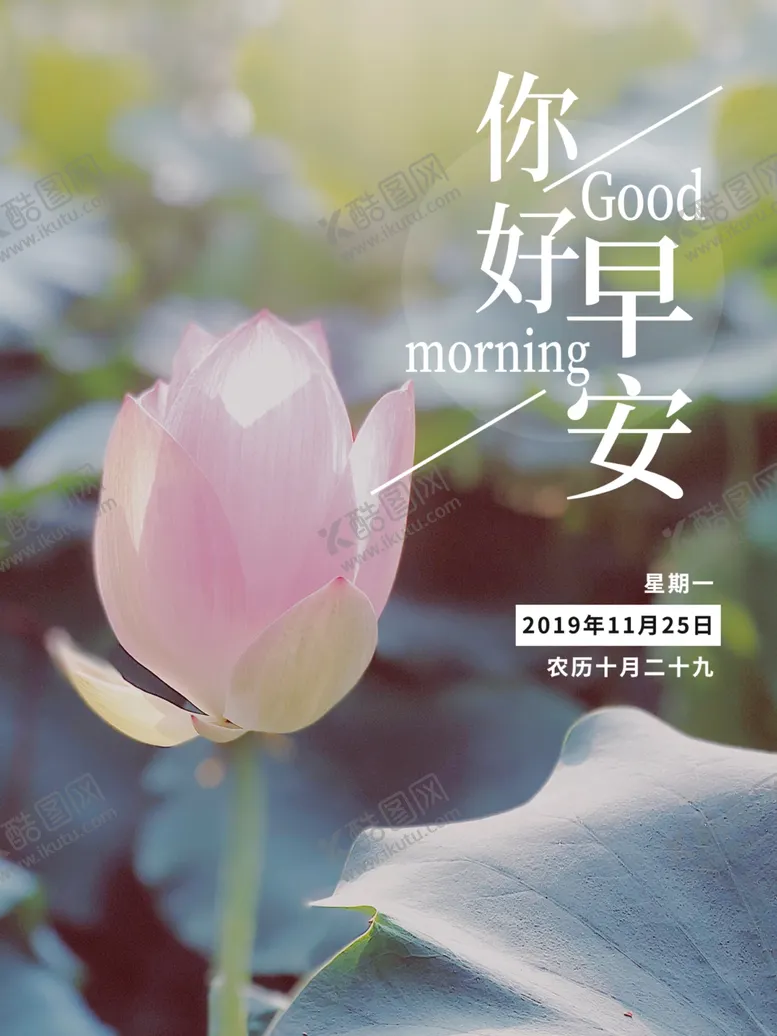 编号：20989607010652225692【酷图网】源文件下载-你好早安