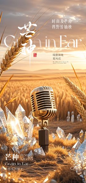 酒吧芒种二十四节气海报