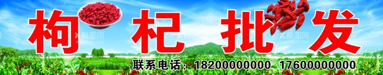 编号：77798003010043507682【酷图网】源文件下载-枸杞批发海报