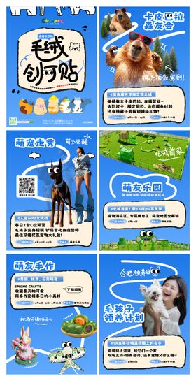 宠物友好系列活动海报