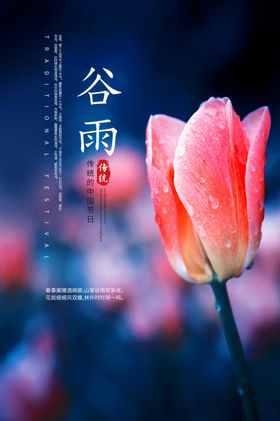 谷雨