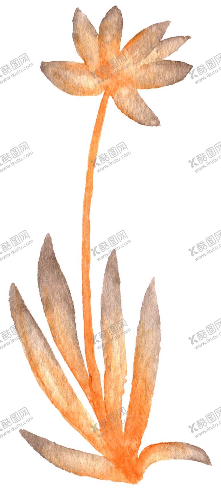 编号：89379911010153078832【酷图网】源文件下载-手绘植物