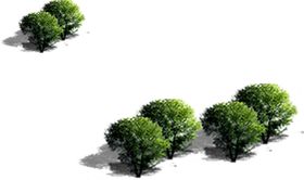 绿色植物室内背景墙竹排背景树叶
